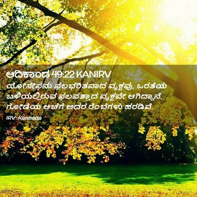 Picture 02 - ಆದಿಕಾಂಡ 49:22 KANIRV - ಯೋಸೇಫನು ಫಲಭರಿತವಾದ - Bible Verse Picture