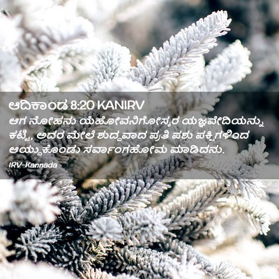 Picture 02 - ಆದಿಕಾಂಡ 8:20 KANIRV - ಆಗ ನೋಹನು - Bible Verse Picture