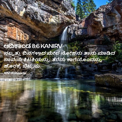 Picture 02 - ಆದಿಕಾಂಡ 8:6 KANIRV - ನಲ್ವತ್ತು ದಿನಗಳಾದ - Bible Verse Picture