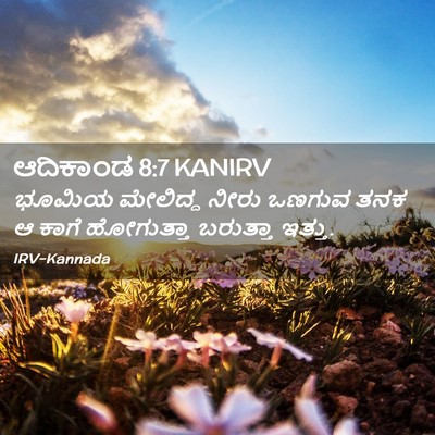Picture 02 - ಆದಿಕಾಂಡ 8:7 KANIRV - ಭೂಮಿಯ ಮೇಲಿದ್ದ - Bible Verse Picture
