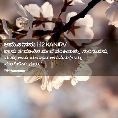 Picture 02 - ಆಮೋಸನು 1:12 KANIRV - ನಾನು ತೇಮಾನಿನ ಮೇಲೆ - Bible Verse Picture