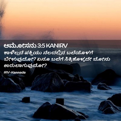Picture 02 - ಆಮೋಸನು 3:5 KANIRV - ಕಾಳಿಲ್ಲದೆ ಪಕ್ಷಿಯು - Bible Verse Picture