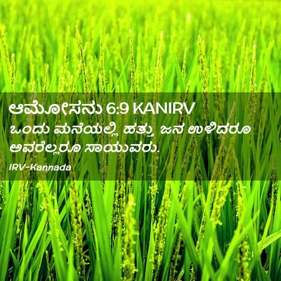 Picture 02 - ಆಮೋಸನು 6:9 KANIRV - ಒಂದು ಮನೆಯಲ್ಲಿ - Bible Verse Picture