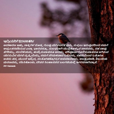 Picture 02 - ಇಬ್ರಿಯರಿಗೆ 12:1 KANIRV - ಆದಕಾರಣ ಇಷ್ಟು - Bible Verse Picture
