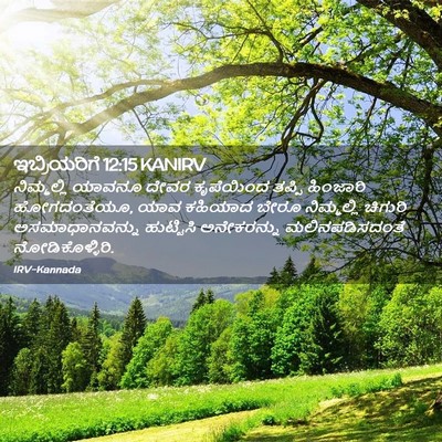 Picture 02 - ಇಬ್ರಿಯರಿಗೆ 12:15 KANIRV - ನಿಮ್ಮಲ್ಲಿ ಯಾವನೂ - Bible Verse Picture