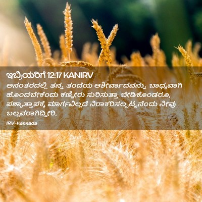 Picture 02 - ಇಬ್ರಿಯರಿಗೆ 12:17 KANIRV - ಅನಂತರದಲ್ಲಿ ತನ್ನ - Bible Verse Picture