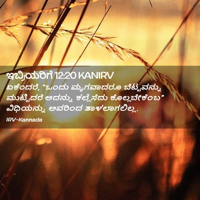 Picture 02 - ಇಬ್ರಿಯರಿಗೆ 12:20 KANIRV - ಏಕೆಂದರೆ, “ಒಂದು - Bible Verse Picture