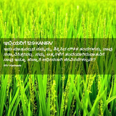 Picture 02 - ಇಬ್ರಿಯರಿಗೆ 12:9 KANIRV - ಇದು ಮಾತ್ರವಲ್ಲದೆ - Bible Verse Picture