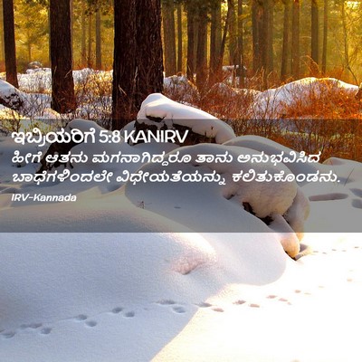 Picture 02 - ಇಬ್ರಿಯರಿಗೆ 5:8 KANIRV - ಹೀಗೆ ಆತನು - Bible Verse Picture