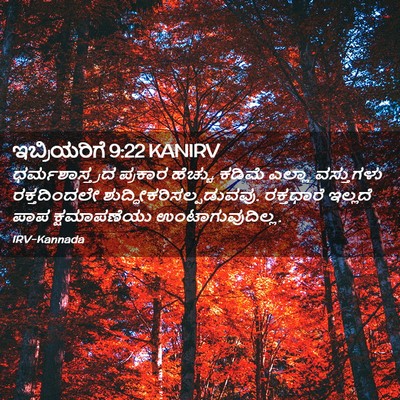 Picture 02 - ಇಬ್ರಿಯರಿಗೆ 9:22 KANIRV - ಧರ್ಮಶಾಸ್ತ್ರದ - Bible Verse Picture