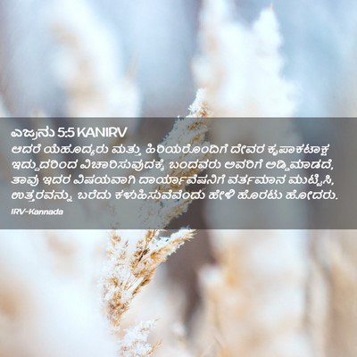 Picture 02 - ಎಜ್ರನು 5:5 KANIRV - ಆದರೆ ಯೆಹೂದ್ಯರು - Bible Verse Picture