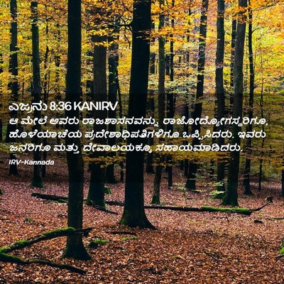 Picture 02 - ಎಜ್ರನು 8:36 KANIRV - ಆ ಮೇಲೆ ಅವರು - Bible Verse Picture