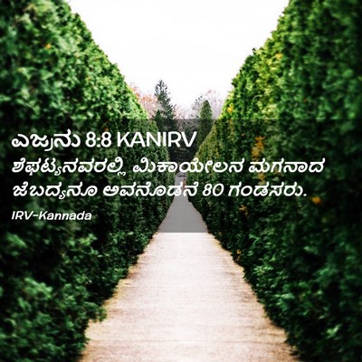Picture 02 - ಎಜ್ರನು 8:8 KANIRV - ಶೆಫಟ್ಯನವರಲ್ಲಿ - Bible Verse Picture