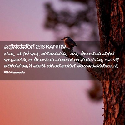 Picture 02 - ಎಫೆಸದವರಿಗೆ 2:16 KANIRV - ನಮ್ಮ ಮೇಲೆ ಇದ್ದ - Bible Verse Picture