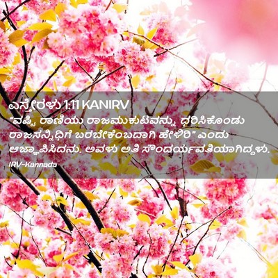 Picture 02 - ಎಸ್ತೇರಳು 1:11 KANIRV - “ವಷ್ಟಿ ರಾಣಿಯು - Bible Verse Picture