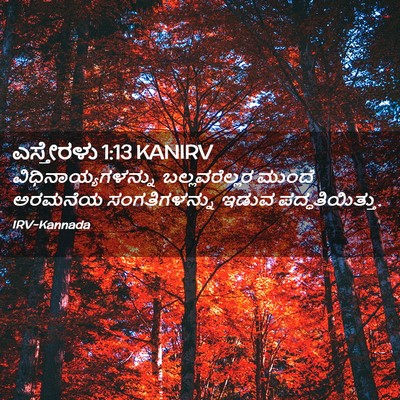 Picture 02 - ಎಸ್ತೇರಳು 1:13 KANIRV - ವಿಧಿನಾಯ್ಯಗಳನ್ನು - Bible Verse Picture