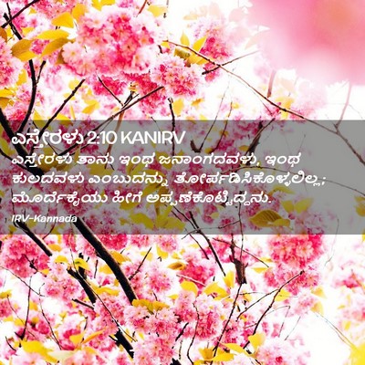 Picture 02 - ಎಸ್ತೇರಳು 2:10 KANIRV - ಎಸ್ತೇರಳು ತಾನು ಇಂಥ - Bible Verse Picture