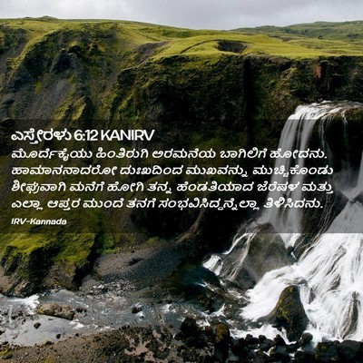 Picture 02 - ಎಸ್ತೇರಳು 6:12 KANIRV - ಮೊರ್ದೆಕೈಯು - Bible Verse Picture