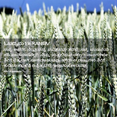 Picture 02 - ಓಬದ್ಯನು 1:16 KANIRV - ನನ್ನ ಜನರೇ, ನೀವು - Bible Verse Picture