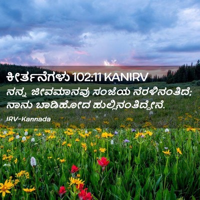 Picture 02 - ಕೀರ್ತನೆಗಳು 102:11 KANIRV - ನನ್ನ ಜೀವಮಾನವು - Bible Verse Picture