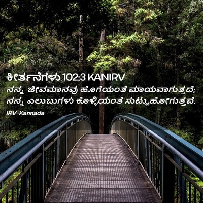 Picture 02 - ಕೀರ್ತನೆಗಳು 102:3 KANIRV - ನನ್ನ ಜೀವಮಾನವು - Bible Verse Picture