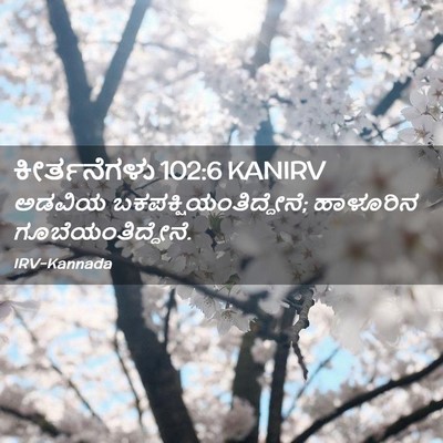 Picture 02 - ಕೀರ್ತನೆಗಳು 102:6 KANIRV - ಅಡವಿಯ - Bible Verse Picture