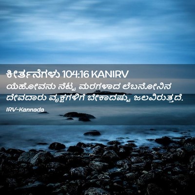 Picture 02 - ಕೀರ್ತನೆಗಳು 104:16 KANIRV - ಯೆಹೋವನು ನೆಟ್ಟ - Bible Verse Picture