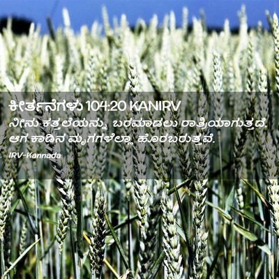 Picture 02 - ಕೀರ್ತನೆಗಳು 104:20 KANIRV - ನೀನು ಕತ್ತಲೆಯನ್ನು - Bible Verse Picture