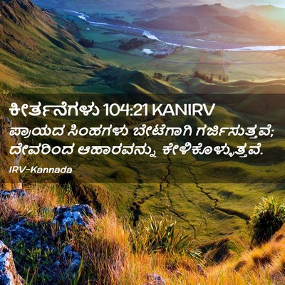 Picture 02 - ಕೀರ್ತನೆಗಳು 104:21 KANIRV - ಪ್ರಾಯದ ಸಿಂಹಗಳು - Bible Verse Picture