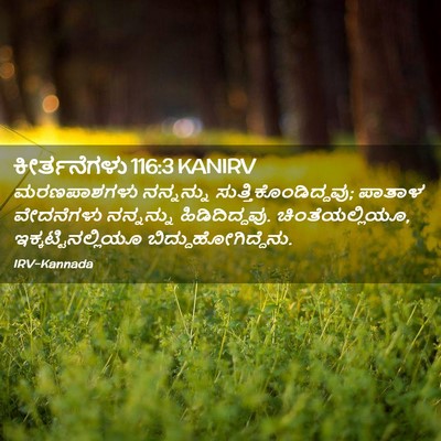 Picture 02 - ಕೀರ್ತನೆಗಳು 116:3 KANIRV - ಮರಣಪಾಶಗಳು - Bible Verse Picture