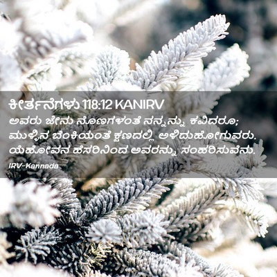 Picture 02 - ಕೀರ್ತನೆಗಳು 118:12 KANIRV - ಅವರು ಜೇನು - Bible Verse Picture