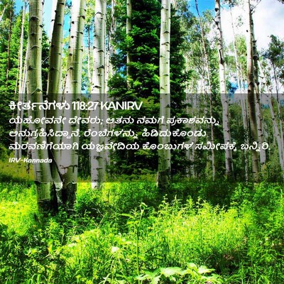 Picture 02 - ಕೀರ್ತನೆಗಳು 118:27 KANIRV - ಯೆಹೋವನೇ ದೇವರು; - Bible Verse Picture