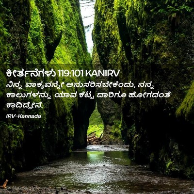 Picture 02 - ಕೀರ್ತನೆಗಳು 119:101 KANIRV - ನಿನ್ನ ವಾಕ್ಯವನ್ನೇ - Bible Verse Picture