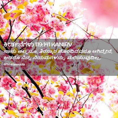 Picture 02 - ಕೀರ್ತನೆಗಳು 119:141 KANIRV - ನಾನು ಅಲ್ಪನೂ, - Bible Verse Picture