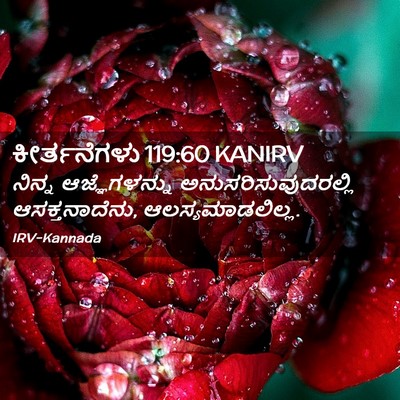 Picture 02 - ಕೀರ್ತನೆಗಳು 119:60 KANIRV - ನಿನ್ನ ಆಜ್ಞೆಗಳನ್ನು - Bible Verse Picture