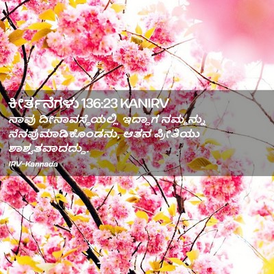 Picture 02 - ಕೀರ್ತನೆಗಳು 136:23 KANIRV - ನಾವು - Bible Verse Picture
