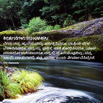 Picture 02 - ಕೀರ್ತನೆಗಳು 17:3 KANIRV - ನೀನು ನನ್ನ - Bible Verse Picture