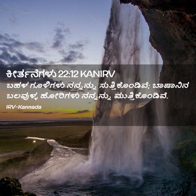 Picture 02 - ಕೀರ್ತನೆಗಳು 22:12 KANIRV - ಬಹಳ ಗೂಳಿಗಳು - Bible Verse Picture