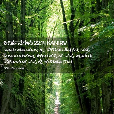 Picture 02 - ಕೀರ್ತನೆಗಳು 22:14 KANIRV - ನಾನು ಹೊಯ್ಯಲ್ಪಟ್ಟ - Bible Verse Picture
