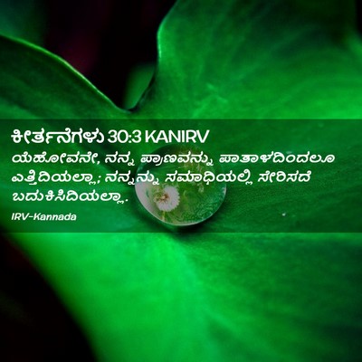 Picture 02 - ಕೀರ್ತನೆಗಳು 30:3 KANIRV - ಯೆಹೋವನೇ, ನನ್ನ - Bible Verse Picture