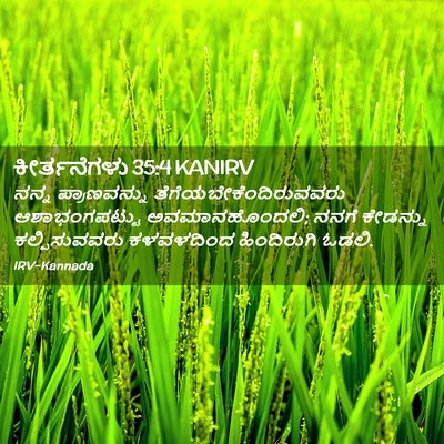 Picture 02 - ಕೀರ್ತನೆಗಳು 35:4 KANIRV - ನನ್ನ ಪ್ರಾಣವನ್ನು - Bible Verse Picture