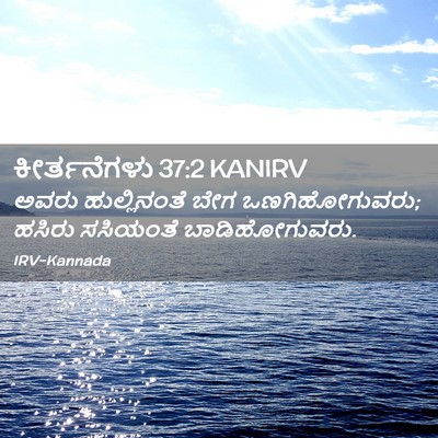 Picture 02 - ಕೀರ್ತನೆಗಳು 37:2 KANIRV - ಅವರು ಹುಲ್ಲಿನಂತೆ - Bible Verse Picture