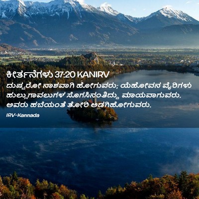 Picture 02 - ಕೀರ್ತನೆಗಳು 37:20 KANIRV - ದುಷ್ಟರೋ ನಾಶವಾಗಿ - Bible Verse Picture
