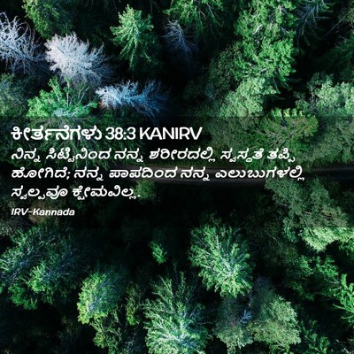 Picture 02 - ಕೀರ್ತನೆಗಳು 38:3 KANIRV - ನಿನ್ನ ಸಿಟ್ಟಿನಿಂದ - Bible Verse Picture