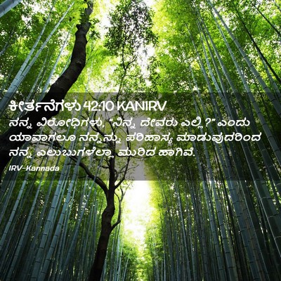 Picture 02 - ಕೀರ್ತನೆಗಳು 42:10 KANIRV - ನನ್ನ ವಿರೋಧಿಗಳು, - Bible Verse Picture