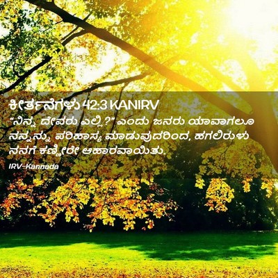 Picture 02 - ಕೀರ್ತನೆಗಳು 42:3 KANIRV - “ನಿನ್ನ ದೇವರು - Bible Verse Picture