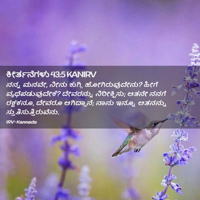 Picture 02 - ಕೀರ್ತನೆಗಳು 43:5 KANIRV - ನನ್ನ ಮನವೇ, ನೀನು - Bible Verse Picture