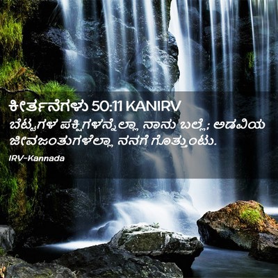 Picture 02 - ಕೀರ್ತನೆಗಳು 50:11 KANIRV - ಬೆಟ್ಟಗಳ - Bible Verse Picture