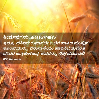Picture 02 - ಕೀರ್ತನೆಗಳು 58:9 KANIRV - ಇನ್ನೂ - Bible Verse Picture