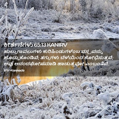 Picture 02 - ಕೀರ್ತನೆಗಳು 65:13 KANIRV - ಹುಲ್ಲುಗಾವಲುಗಳು - Bible Verse Picture